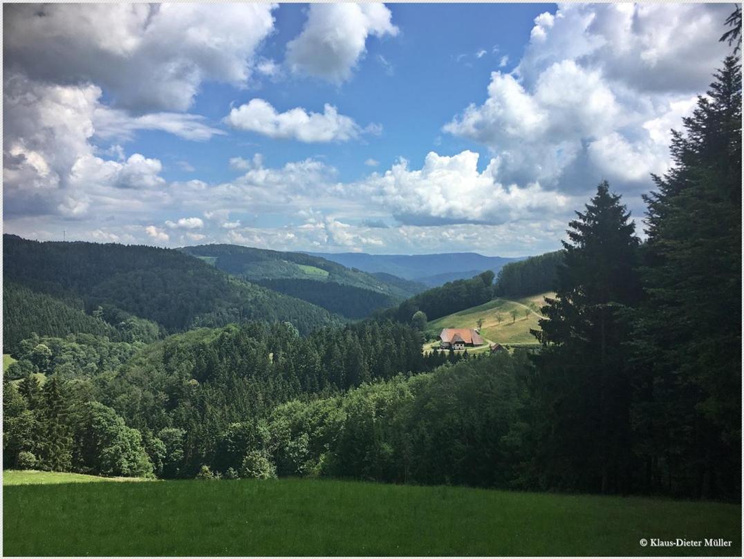 Haus Am Waldrand Villa Triberg im Schwarzwald Exterior photo