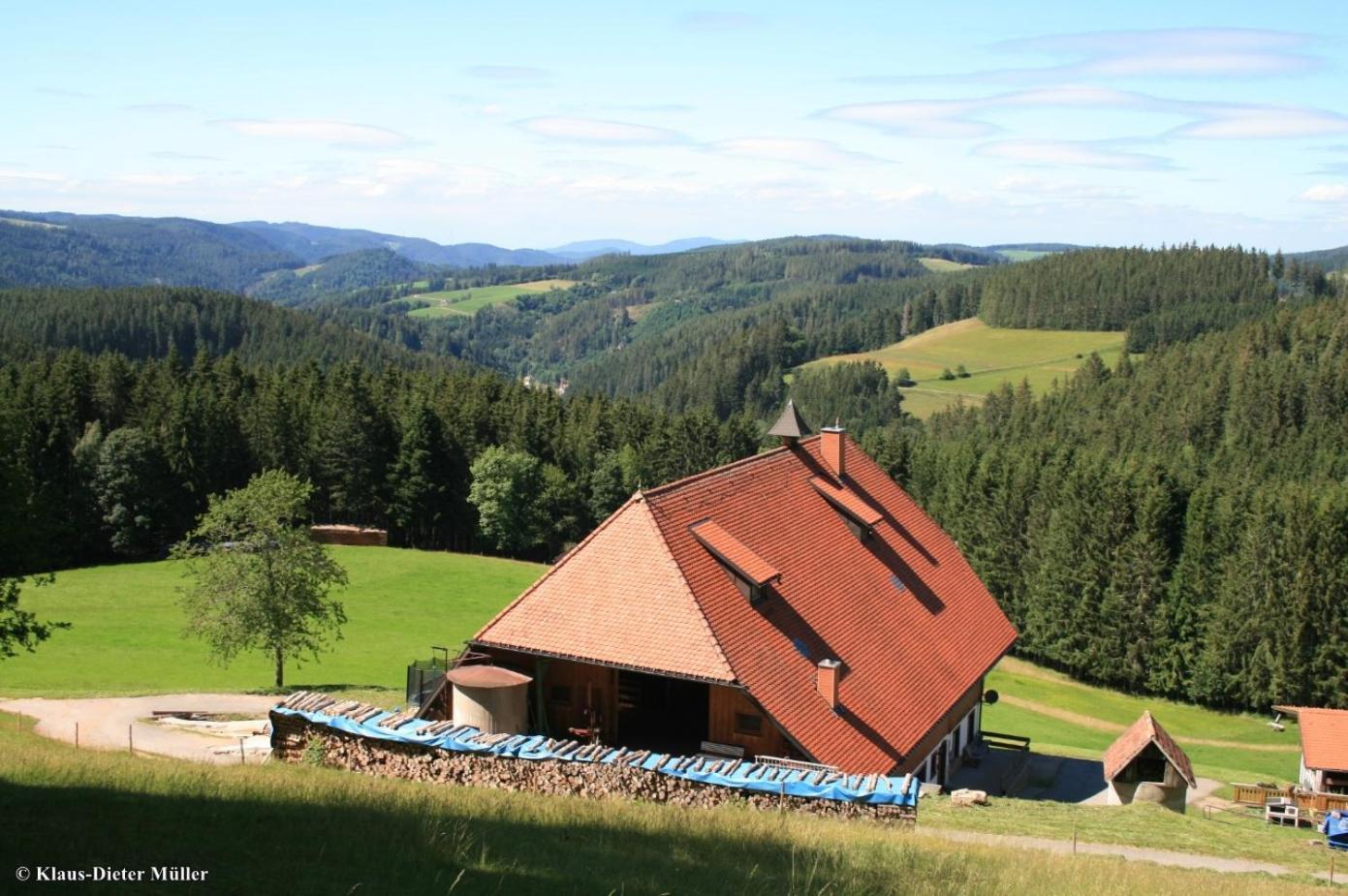 Haus Am Waldrand Villa Triberg im Schwarzwald Exterior photo