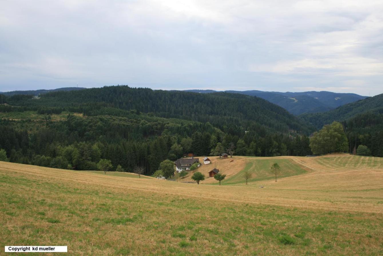 Haus Am Waldrand Villa Triberg im Schwarzwald Exterior photo
