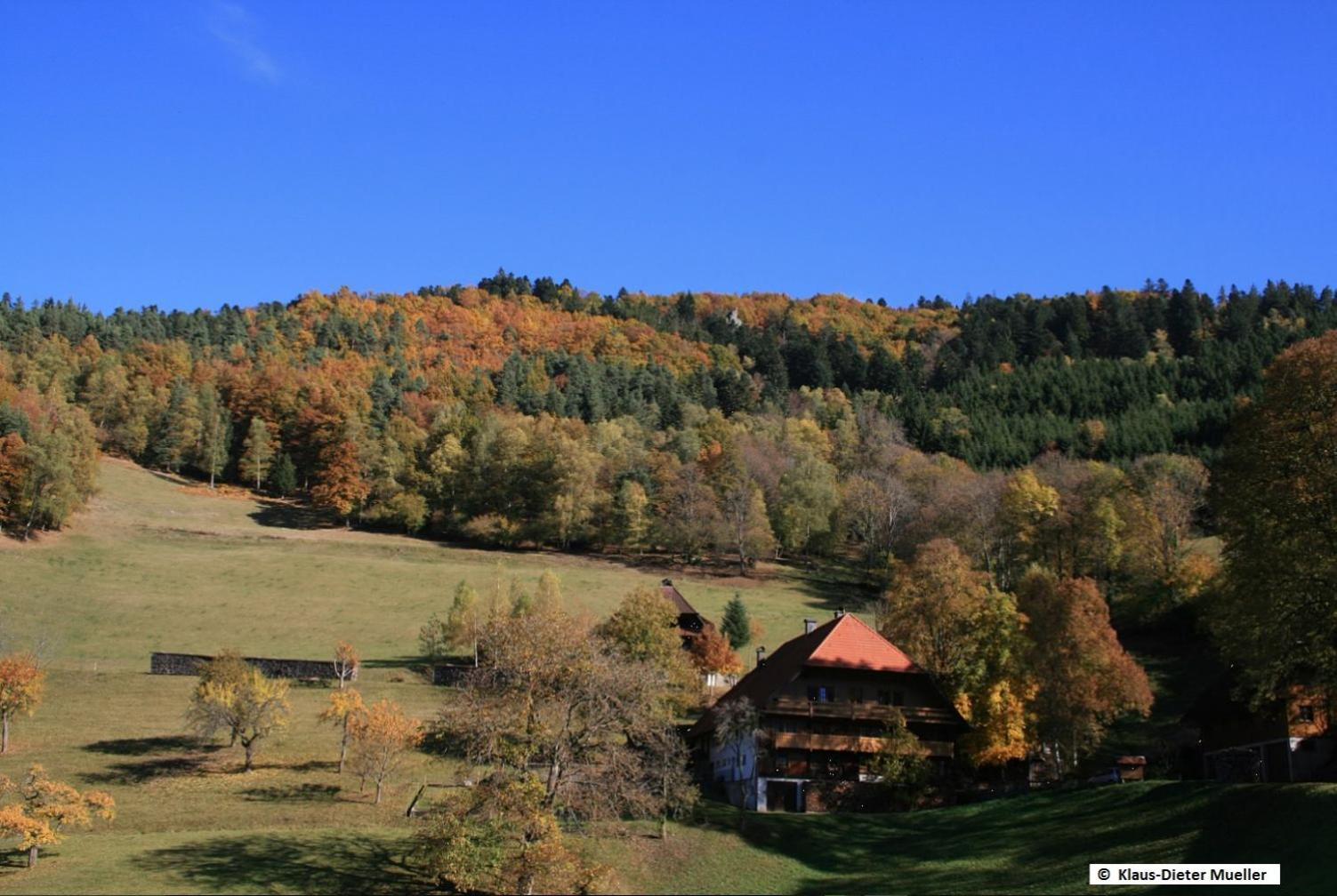 Haus Am Waldrand Villa Triberg im Schwarzwald Exterior photo