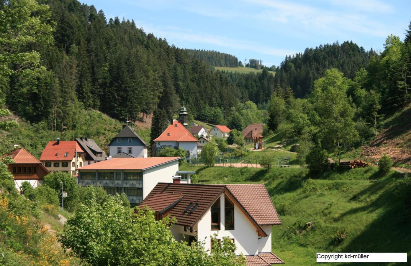 Haus Am Waldrand Villa Triberg im Schwarzwald Exterior photo