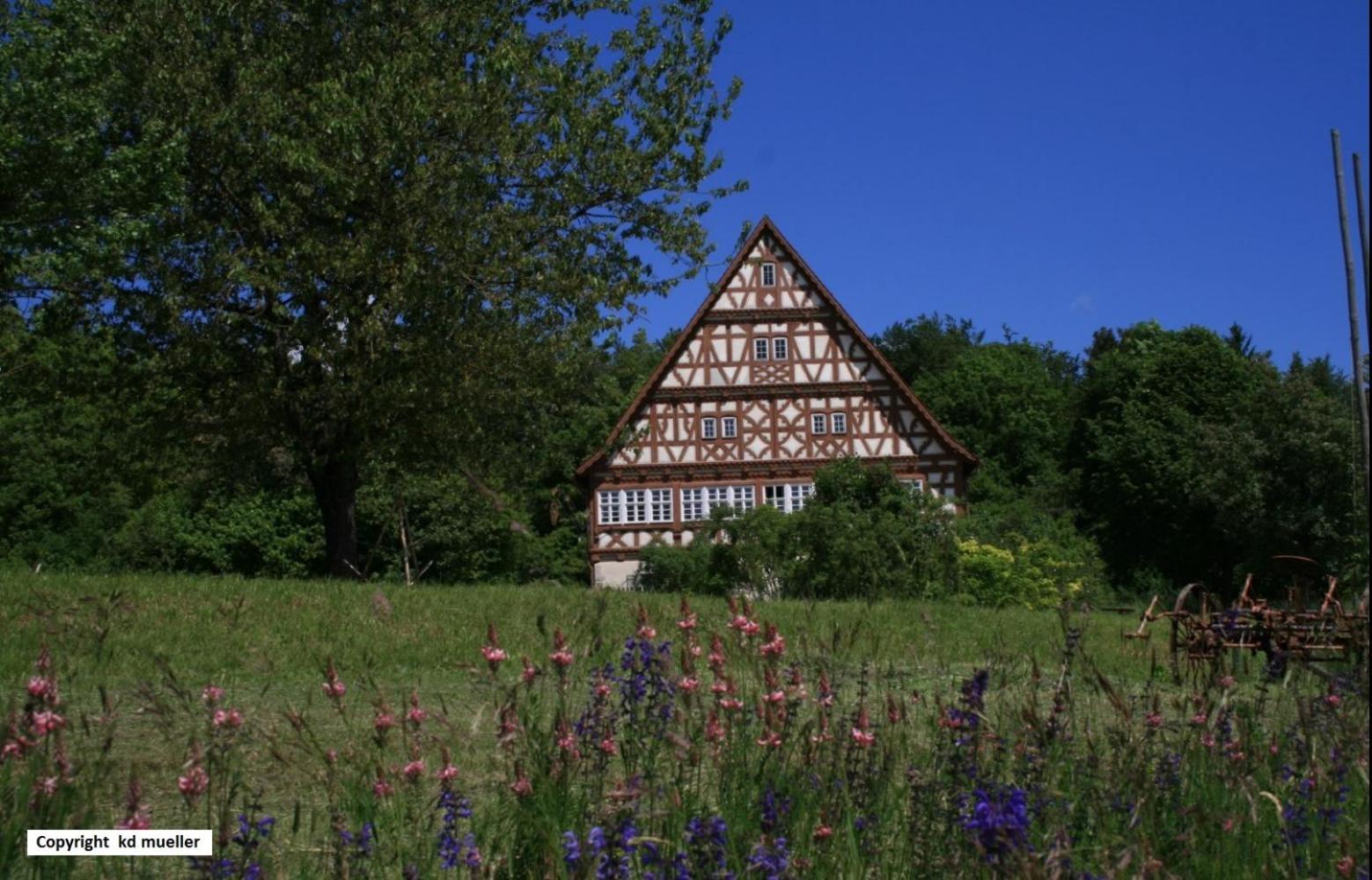 Haus Am Waldrand Villa Triberg im Schwarzwald Exterior photo