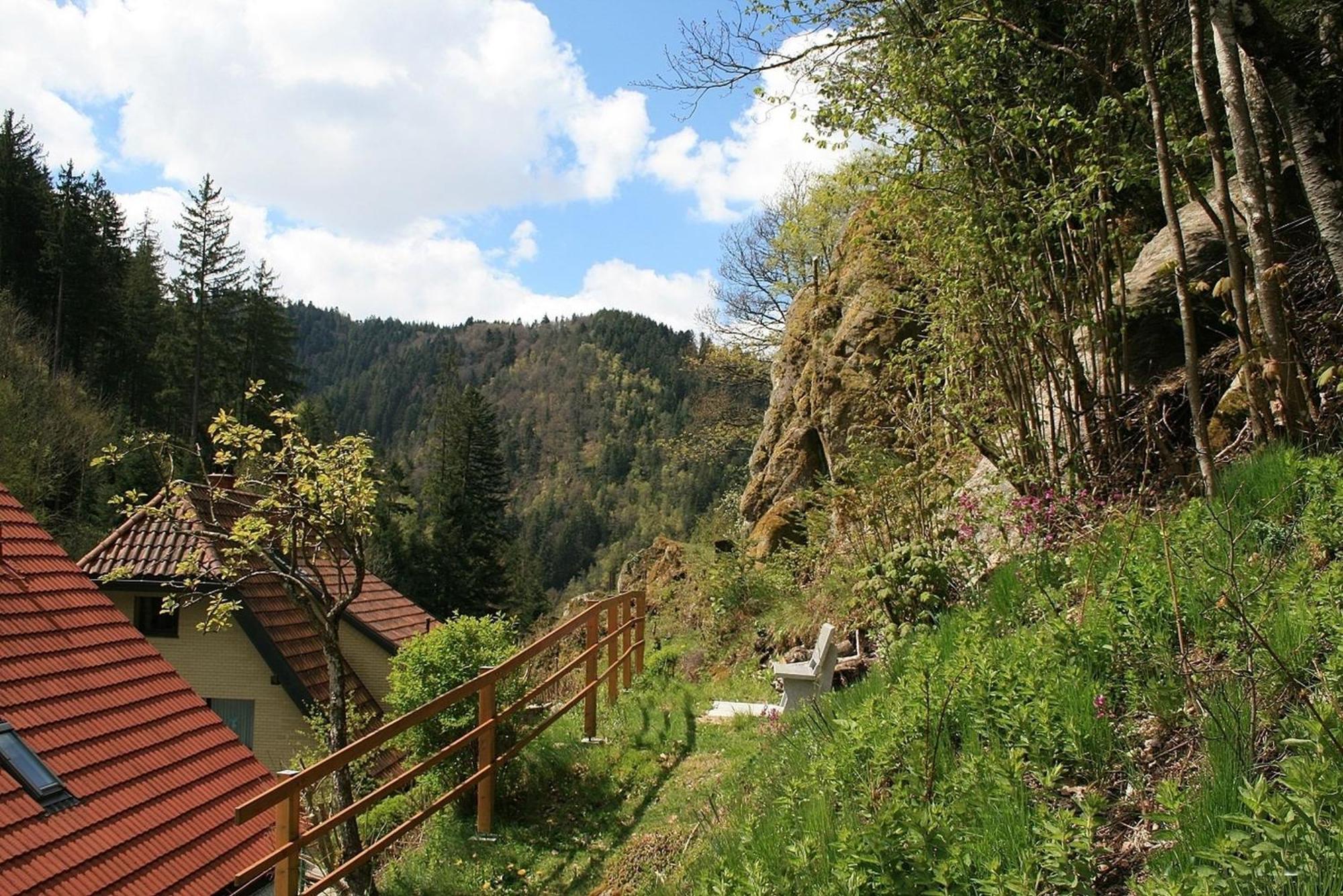 Haus Am Waldrand Villa Triberg im Schwarzwald Exterior photo