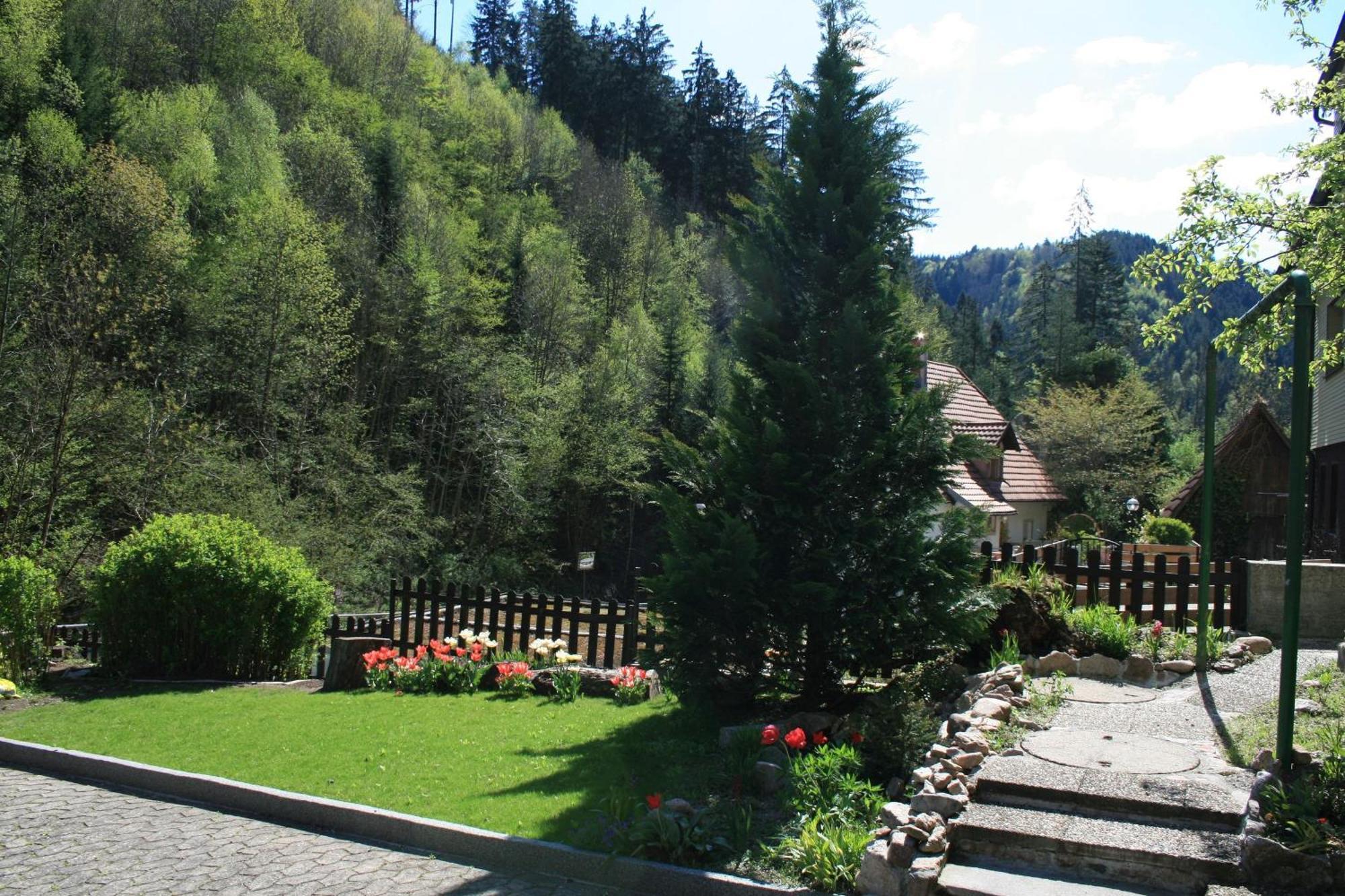 Haus Am Waldrand Villa Triberg im Schwarzwald Exterior photo